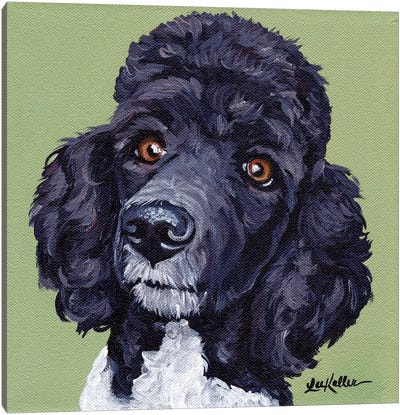 Standard Poodle Tommy Canvas Art Print - Poodle Art