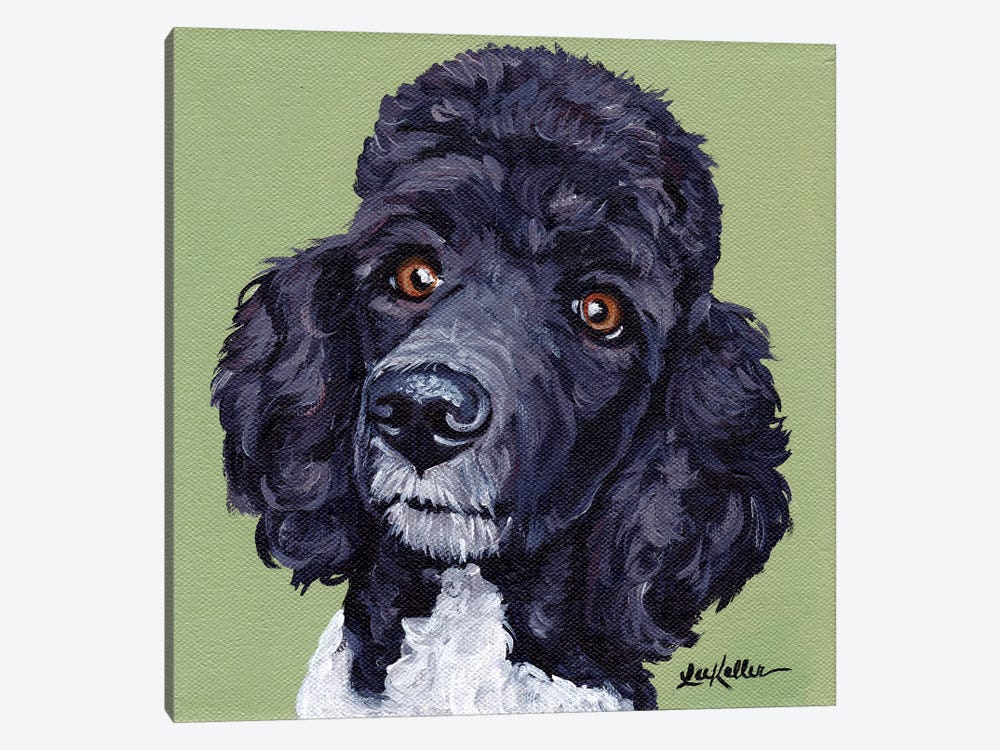 Standard Poodle Tommy by Hippie Hound Studios 1-piece Canvas Wall Art