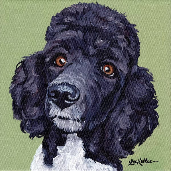 Poodles: Standard Poodle Tommy by Hippie Hound Studios
