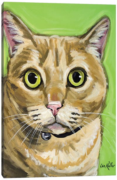 Tabby Wrigley Canvas Art Print - Orange Cat Art