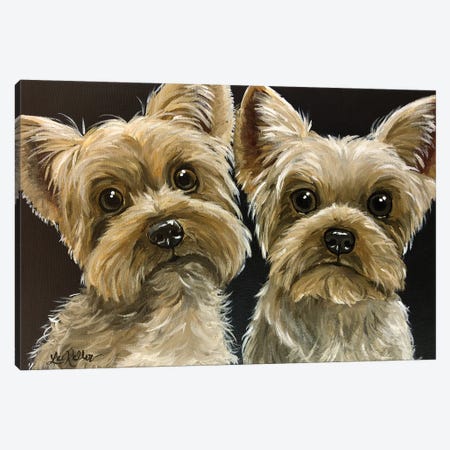 Two Yorkies Canvas Print #HHS169} by Hippie Hound Studios Canvas Print