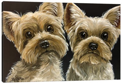 Two Yorkies Canvas Art Print - Yorkshire Terrier Art