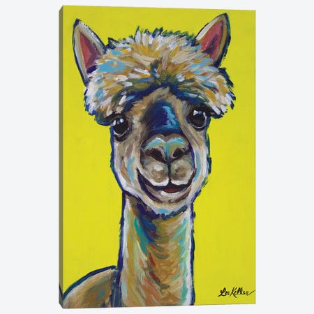 Alpaca - Jose Canvas Print #HHS171} by Hippie Hound Studios Canvas Wall Art