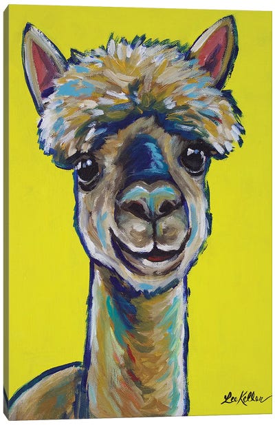Alpaca - Jose Canvas Art Print - Llama & Alpaca Art