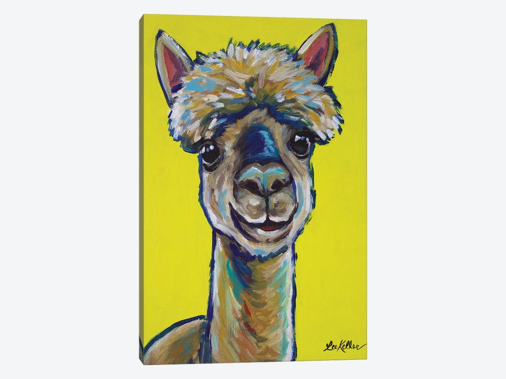 Alpaca - Jose by Hippie Hound Studios 1-piece Canvas Artwork