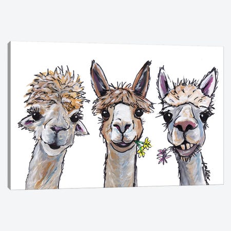 Alpacas Trio II Canvas Print #HHS173} by Hippie Hound Studios Canvas Art