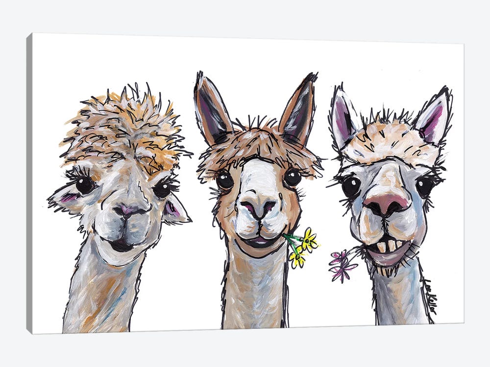 Alpacas Trio II by Hippie Hound Studios 1-piece Canvas Wall Art