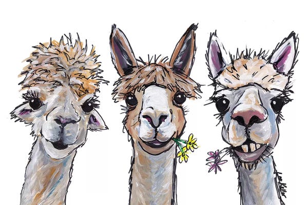 Daisies: Alpacas Trio II by Hippie Hound Studios
