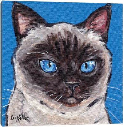 Cat Siamese On Blue Canvas Art Print - Hippie Hound Studios