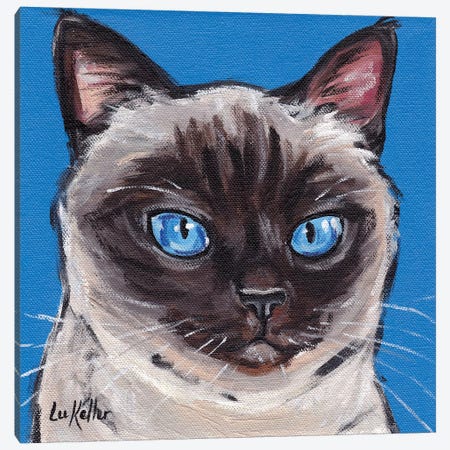Cat Siamese On Blue Canvas Print #HHS180} by Hippie Hound Studios Canvas Print