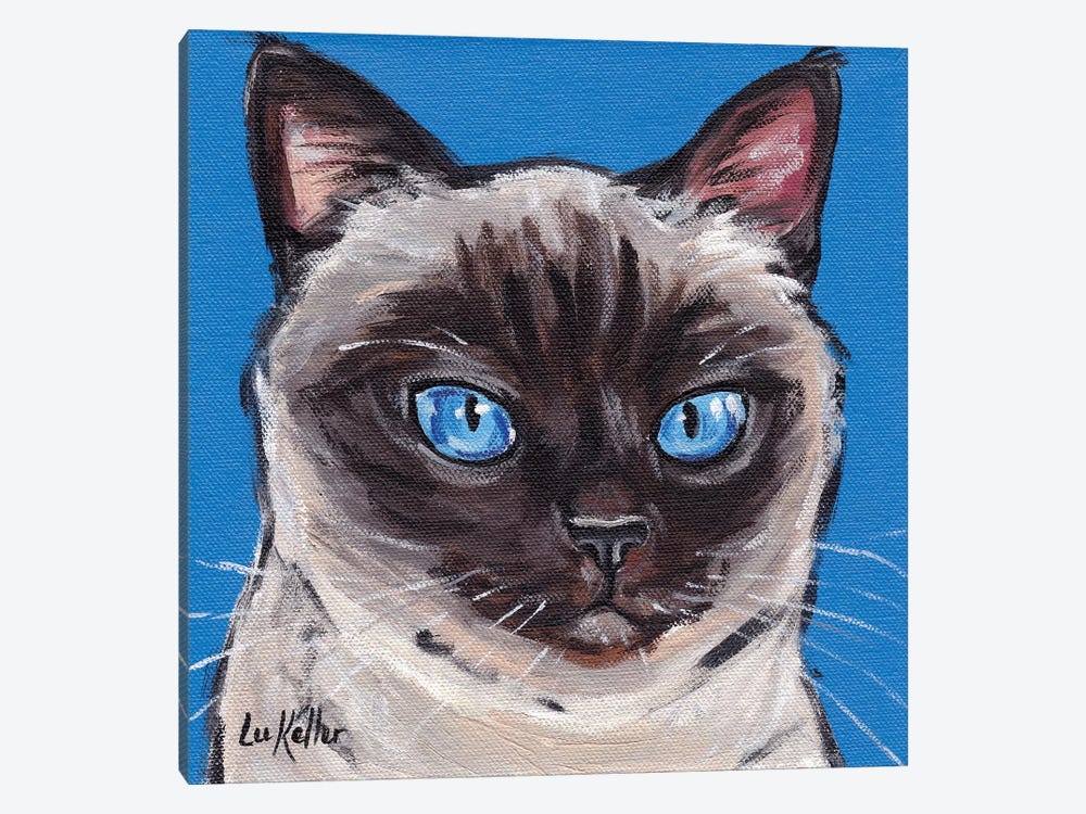 Cat Siamese On Blue by Hippie Hound Studios 1-piece Canvas Wall Art