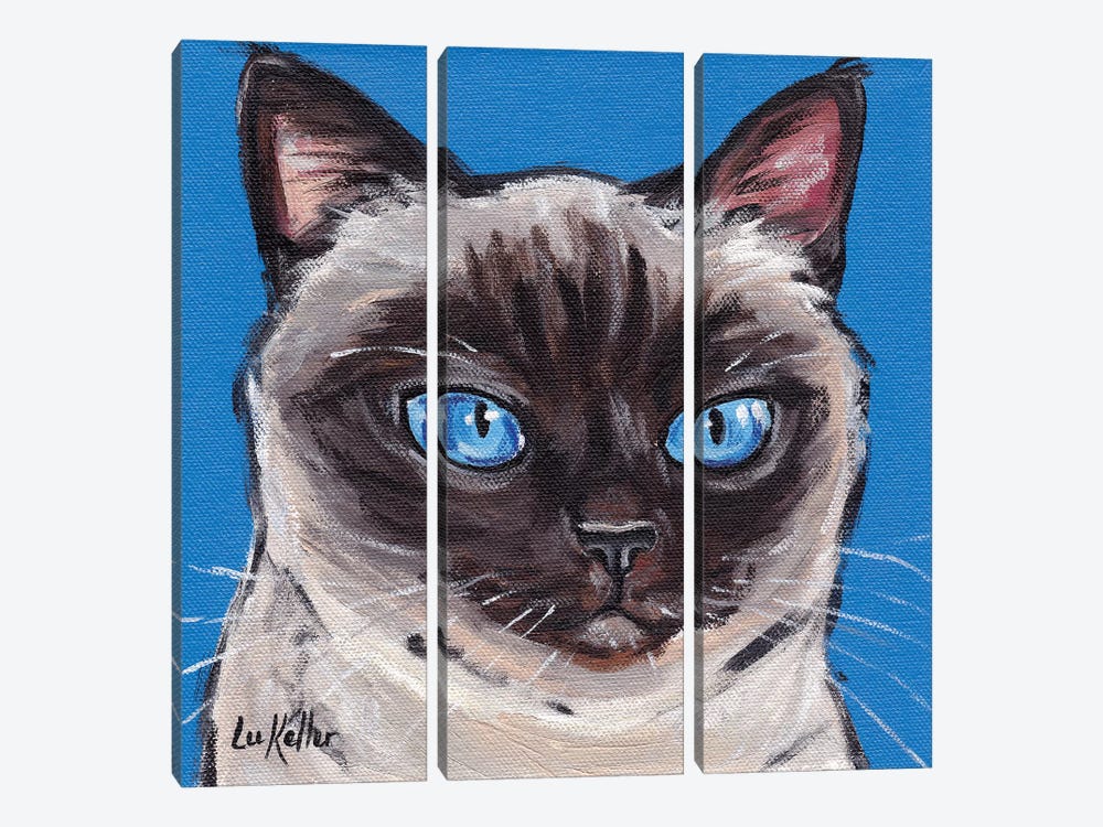 Cat Siamese On Blue by Hippie Hound Studios 3-piece Canvas Artwork