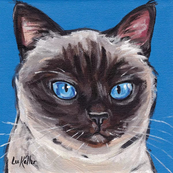 Siamese: Cat Siamese On Blue by Hippie Hound Studios