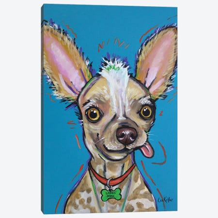 Chinese Crested - Spike Canvas Print #HHS183} by Hippie Hound Studios Canvas Art Print