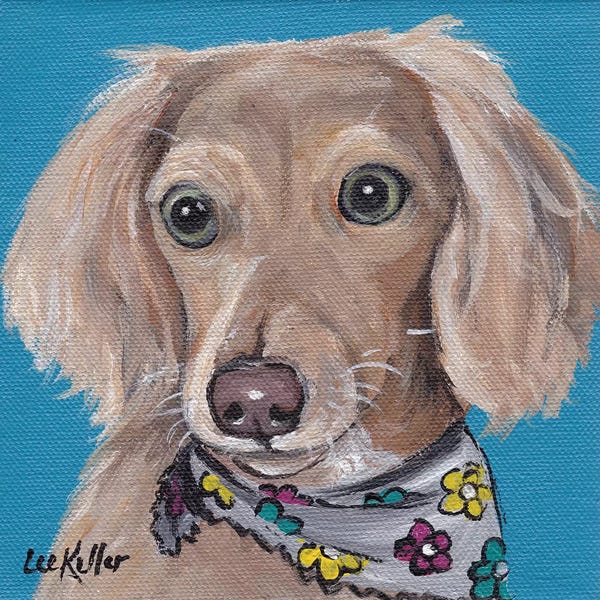 Hippie Hound Studios: Dachshund With Flower Bandana by Hippie Hound Studios