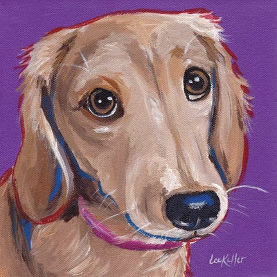 Daschund On Purple by Hippie Hound Studios metal wall art