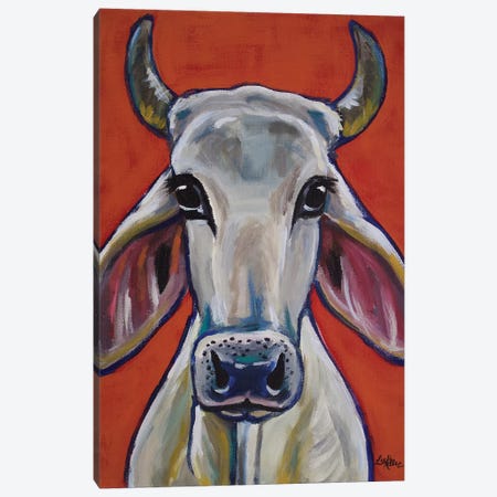 Cow - Zebu Ox Canvas Print #HHS190} by Hippie Hound Studios Canvas Wall Art