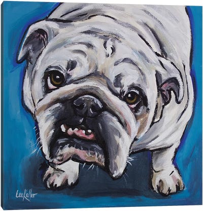 English Bull - Skid Canvas Art Print - Bulldog Art