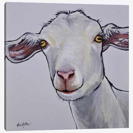 Goat Gray Color Match Canvas Print #HHS196} by Hippie Hound Studios Canvas Art Print
