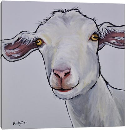 Goat Gray Color Match Canvas Art Print - Goat Art
