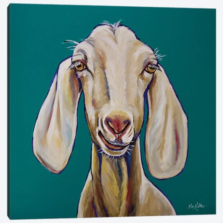 Goat - Margot Canvas Print #HHS197} by Hippie Hound Studios Canvas Print