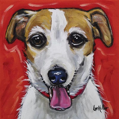 Jack Russell - Ginny by Hippie Hound Studios metal wall art
