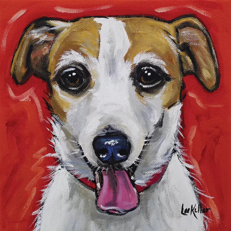 Jack Russell - Ginny