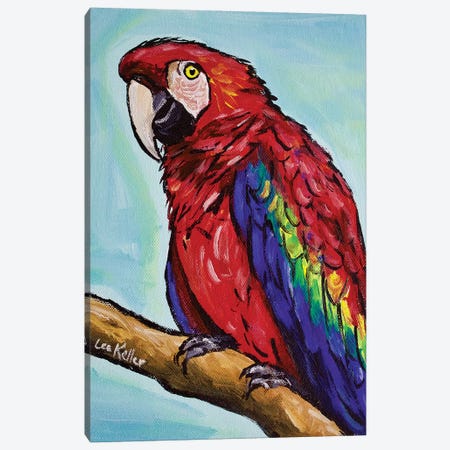 Macaw Canvas Print #HHS205} by Hippie Hound Studios Canvas Art Print