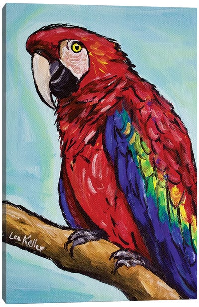 Macaw Canvas Art Print