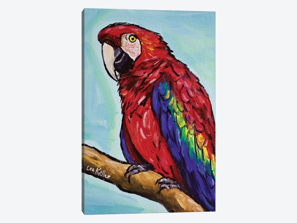 Macaw by Hippie Hound Studios 1-piece Canvas Art Print