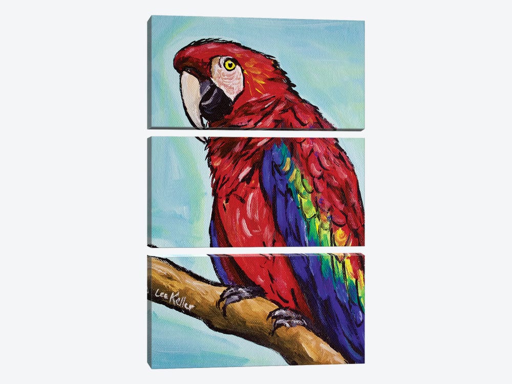 Macaw by Hippie Hound Studios 3-piece Canvas Print