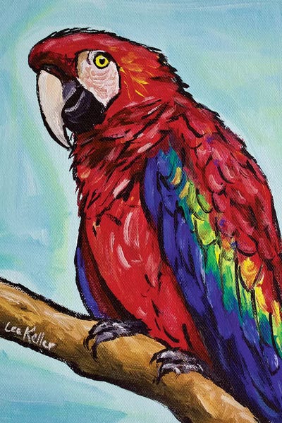 Hippie Hound Studios: Macaw by Hippie Hound Studios