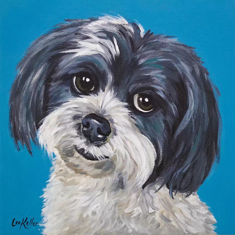 Maltese Shihtzu Mix - Maggie by Hippie Hound Studios wall art