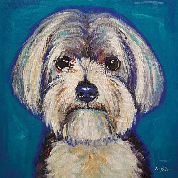 Morkie by Hippie Hound Studios wall art