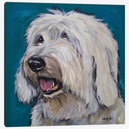 Old English Sheepdog - Rooney Canvas Print #HHS209} by Hippie Hound Studios Canvas Wall Art