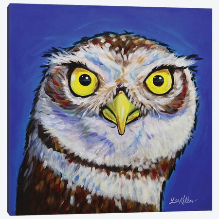 Owl - Midnight Canvas Print #HHS210} by Hippie Hound Studios Canvas Art Print