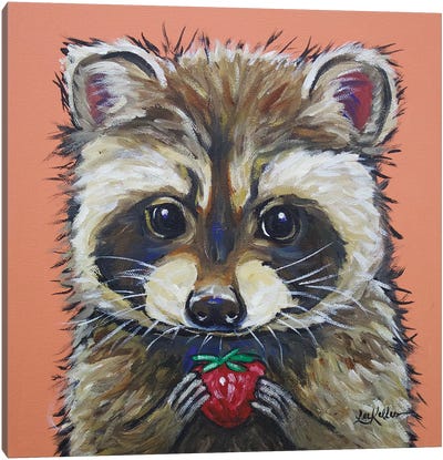 Raccoon - Callie Canvas Art Print - Raccoon Art
