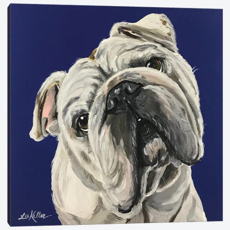 English Bulldog On Blue Canvas Print #HHS21} by Hippie Hound Studios Canvas Art