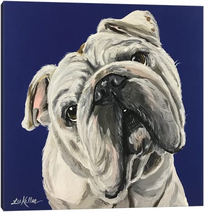 English Bulldog On Blue Canvas Art Print - Hippie Hound Studios