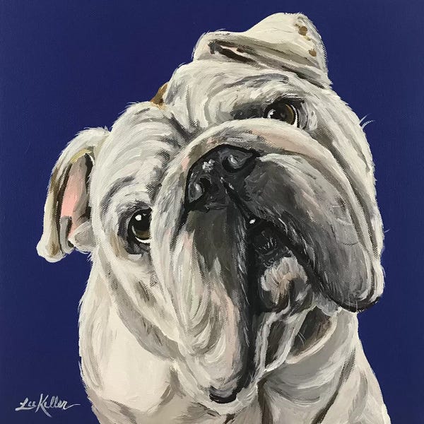Bulldogs: English Bulldog On Blue by Hippie Hound Studios
