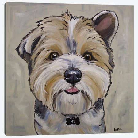 Terrier - Bucky Canvas Print #HHS227} by Hippie Hound Studios Art Print