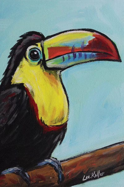 Toucan by Hippie Hound Studios art print