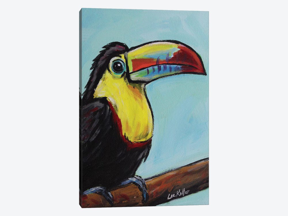 Toucan by Hippie Hound Studios 1-piece Canvas Art