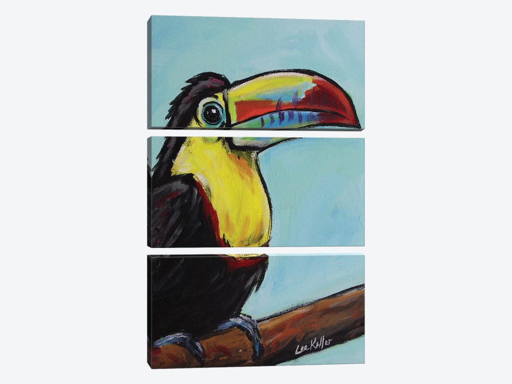 Toucan 3-piece Canvas Art