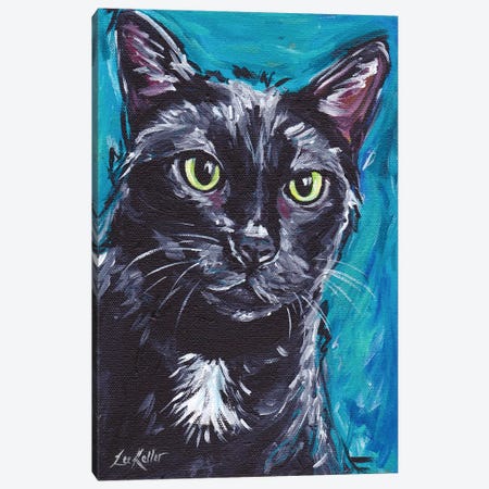 Expressive Black Cat Canvas Print #HHS22} by Hippie Hound Studios Canvas Wall Art