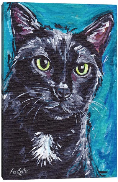 Expressive Black Cat Canvas Art Print - Black Cat Art