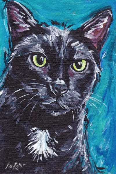 Hippie Hound Studios: Expressive Black Cat by Hippie Hound Studios