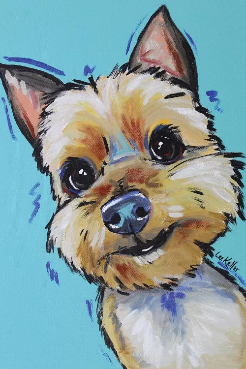 Yorkie - Jaxson by Hippie Hound Studios wall art