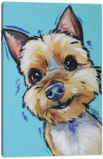 Yorkie - Jaxson Canvas Art Print - Yorkshire Terrier Art