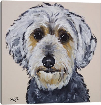 Yorkie Poo - Snickers Canvas Art Print - Yorkshire Terrier Art